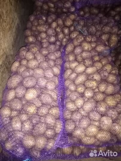 Продукты питания