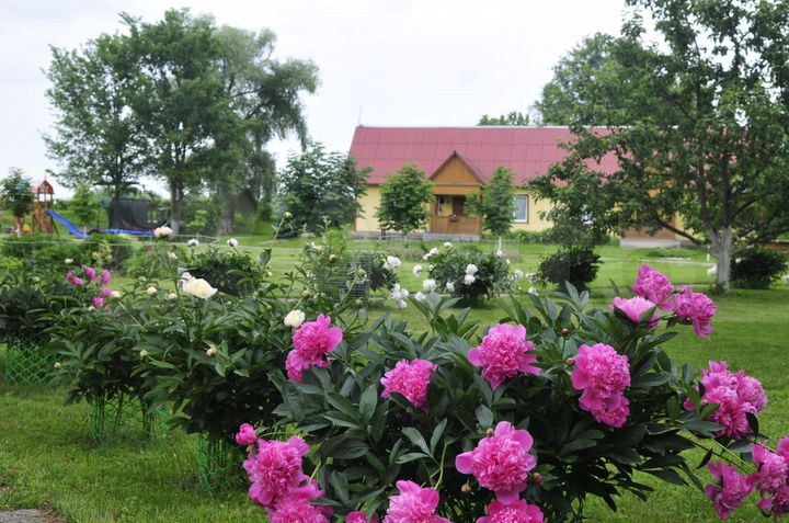 Коттедж 580 м² на участке 3,9 га