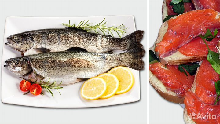 Форель свежемороженая оптом