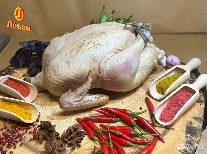 Мясо птицы. Домашняя курица