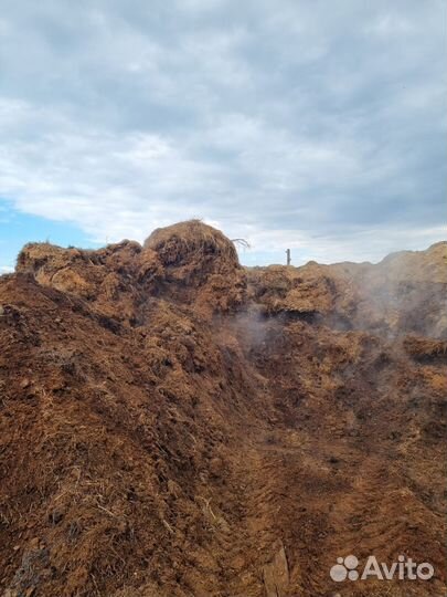 Конский навоз