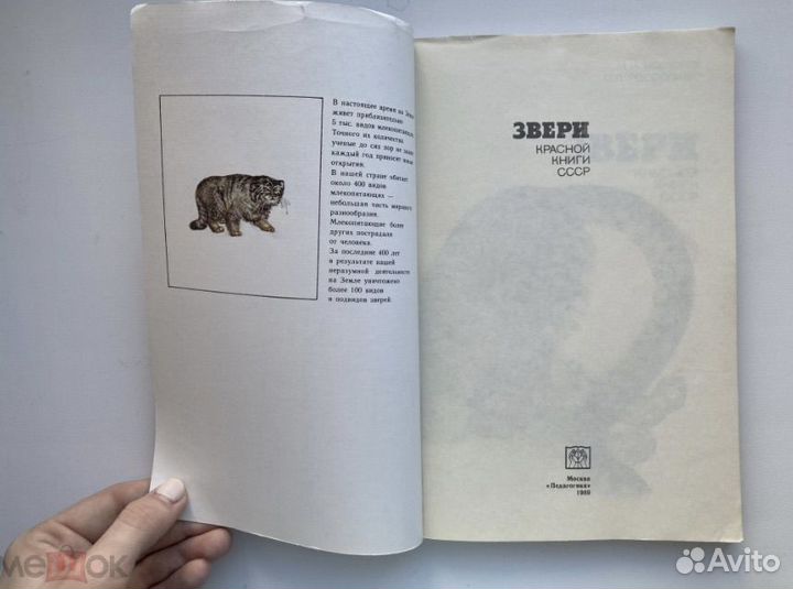 Звери Красной книги СССР, 1988 г