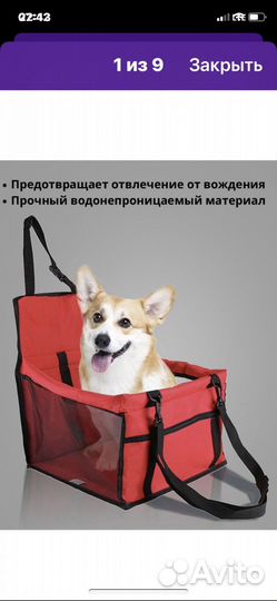 Автогамак для перевозки собак