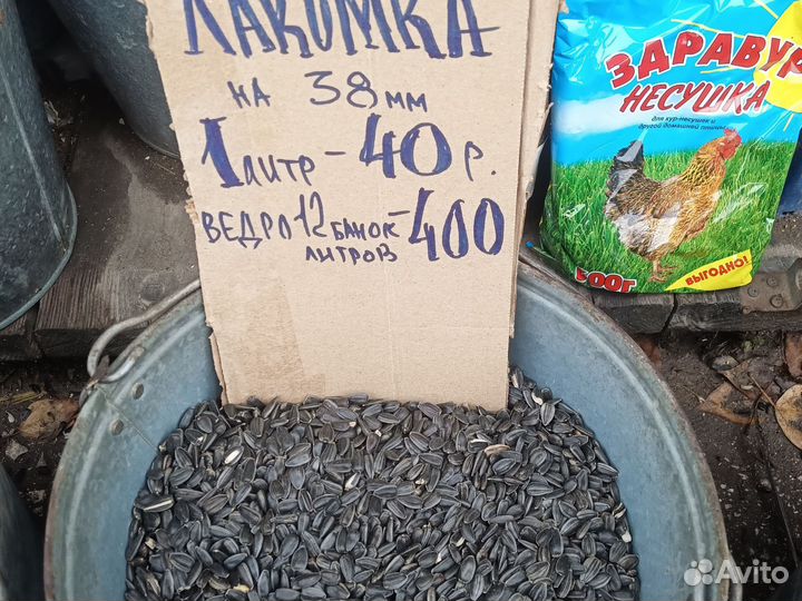 Семечки подсолнечника для птиц