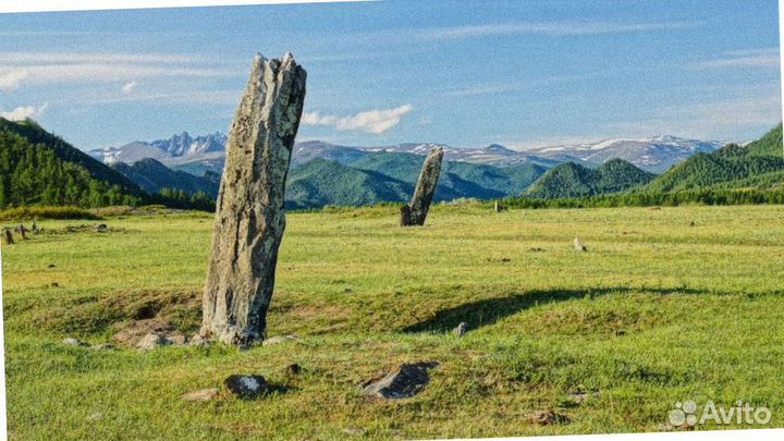 Тур поездка Алтай летний программа 4-7 дней