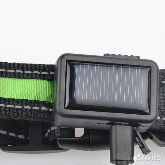 Светящийся ошейник для собак