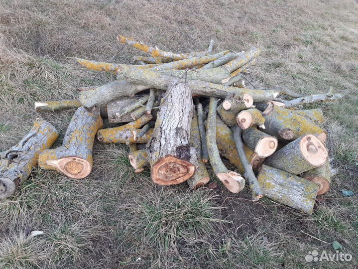 Дрова бесплатно