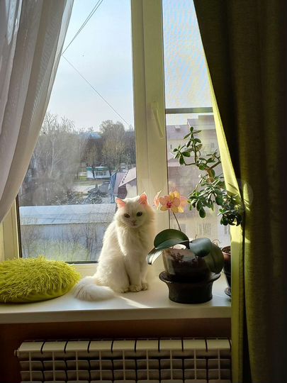 3-к. квартира, 70 м², 6/9 эт.