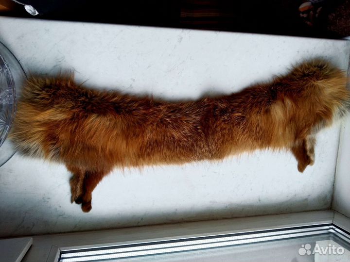Лисий воротник 80 см