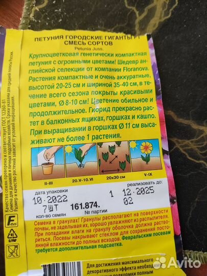 Рассада петунии