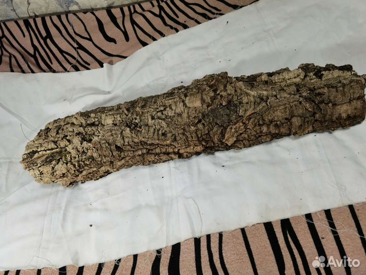 Кора пробкового дерева