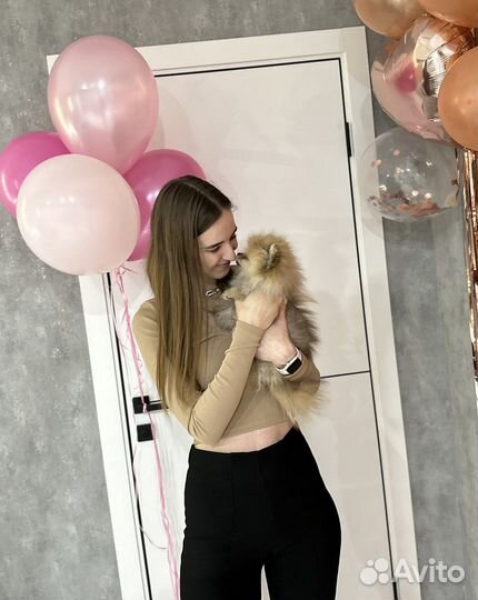 Передержка маленьких собак щенков