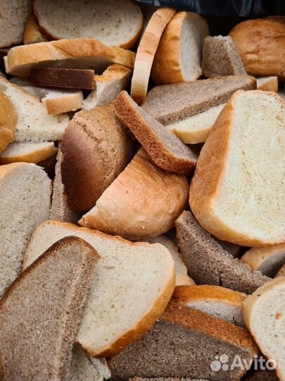 Хлеб на корм животным