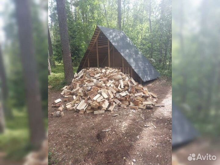 Дрова березовые