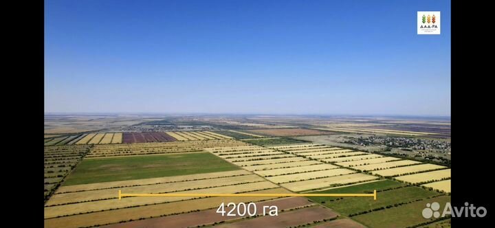 Продаем сельскохозяйственное предприятие