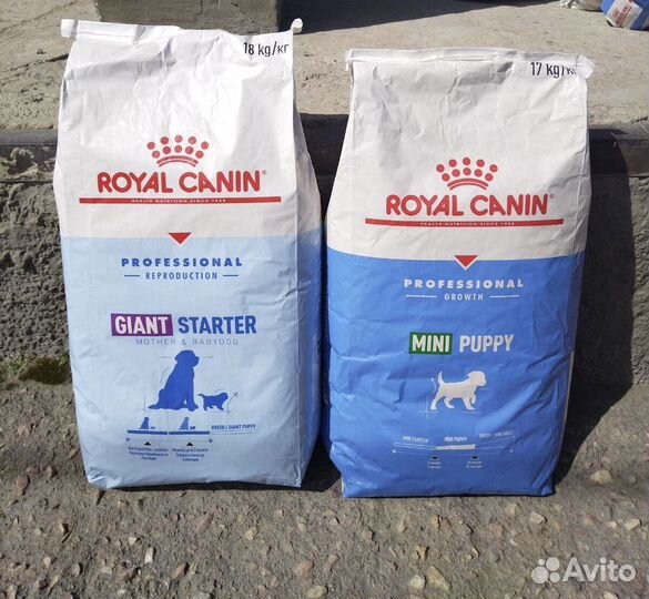 Корма для животных