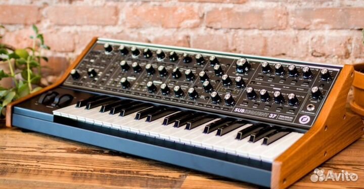 Аналоговый синтезатор Moog Subsequent 37 (любые)