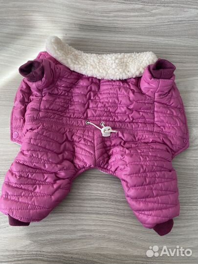 Комбинезон на собаку