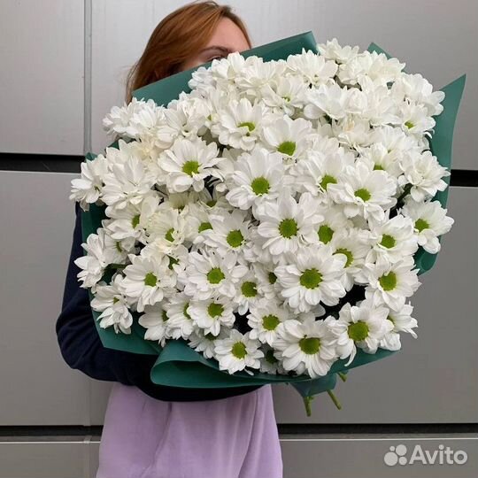 Букет из ромашковидной хризантемы