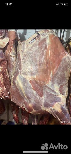 Мясо говядина халяль,баранина,жир. Халялное