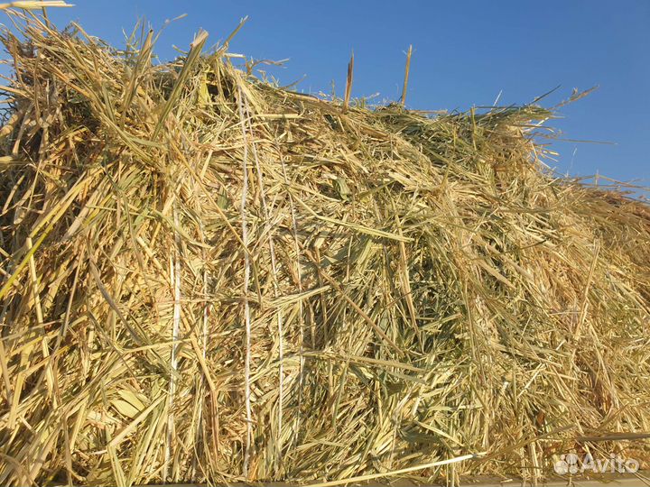 Сено Солома