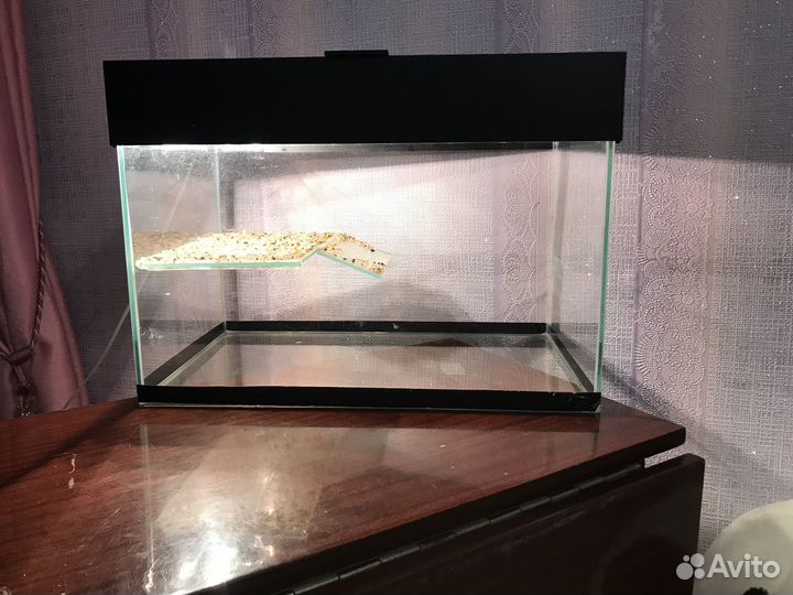 Аквариум для черепах