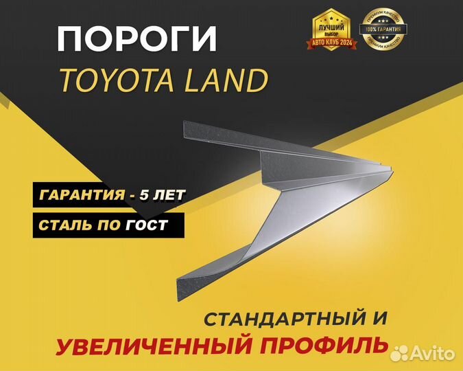 Пороги на Hyundai Getz Оплата при получении