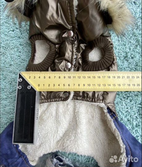 Одежда для собак