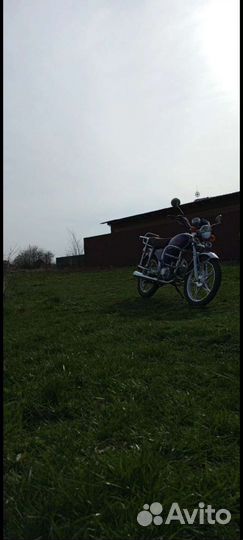 Alpha omaks 110