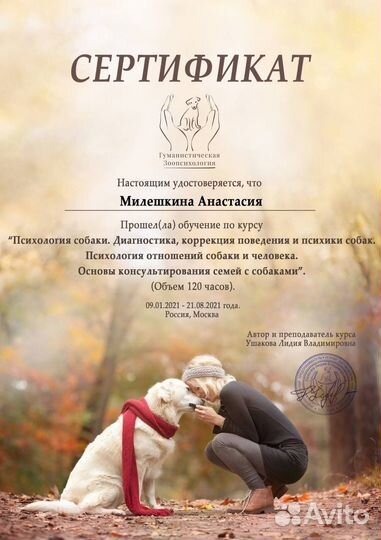 Кинолог зоопсихолог, коррекция поведения