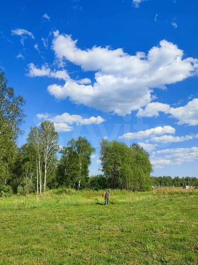Участок 12 сот. (СНТ, ДНП)