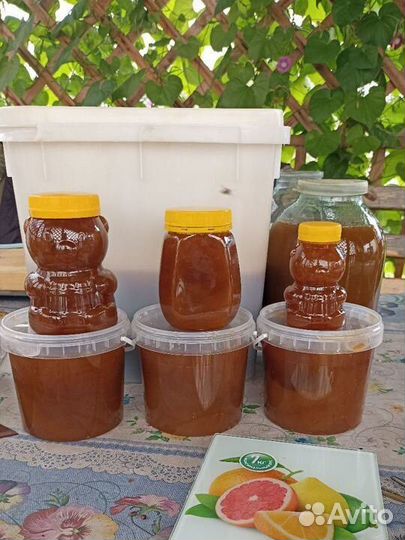 Мед Алтайский