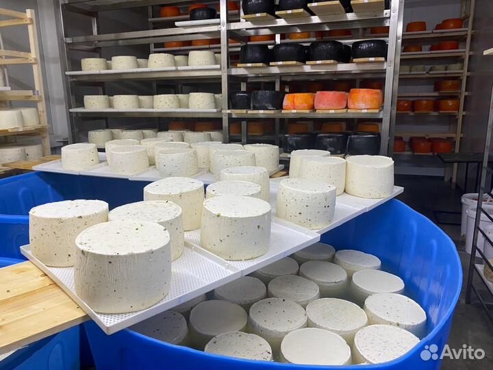 Сыроварня в Подмосковье (пищевое производство)