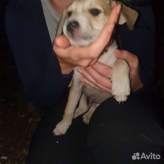 Выкинули в мешке