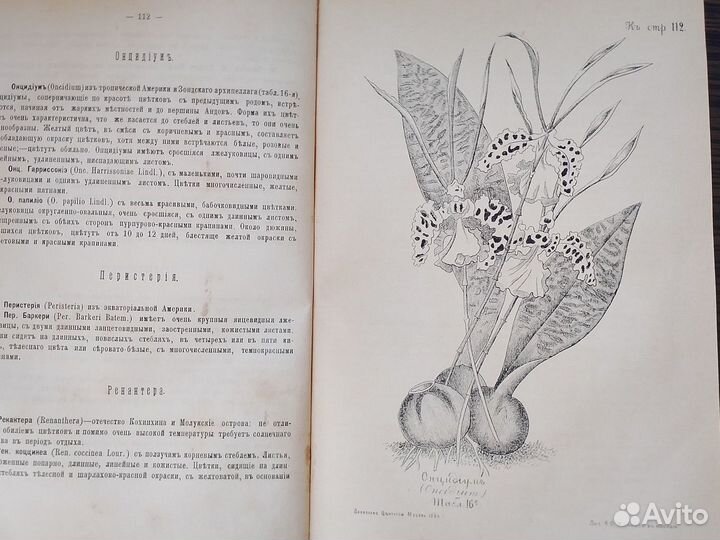 Комнатное садоводство. Книга с гравюрами. 1886 г