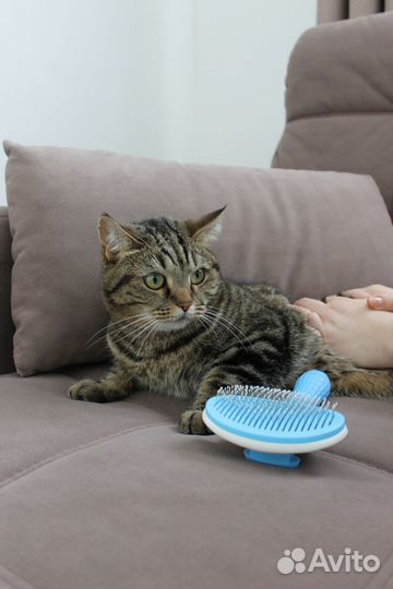 Пуходерка(дешеддер) для кошек собак с кнопкой