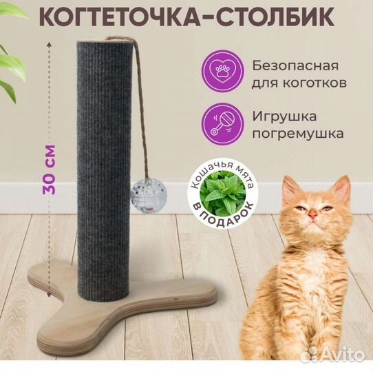Когтеточка