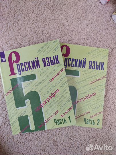 Учебник Русский язык 5 класс Ладыженская