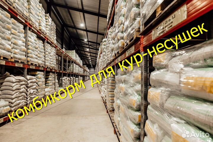 Комбикорм для кур-несушек