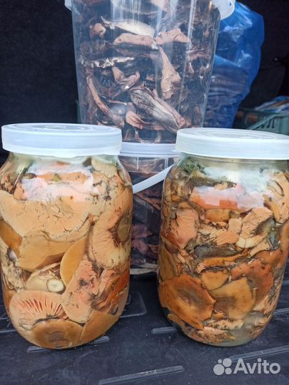 Грибы рыжики соленые