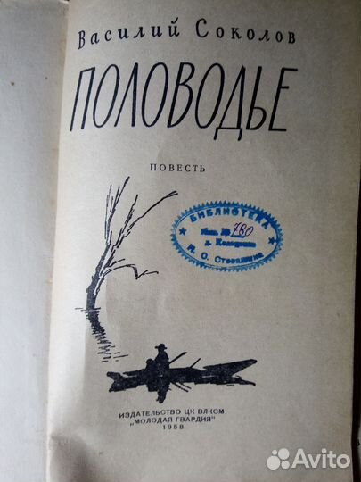 Соколов Василий. Половодье