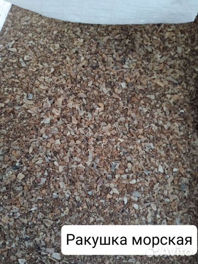 Мел кормовой, Ракушка, Канареечное семя, Сепия