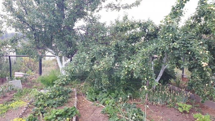 Дача 20 м² на участке 8 сот.