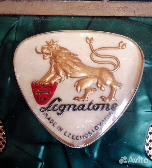 Аккордеон Lignatone Accord