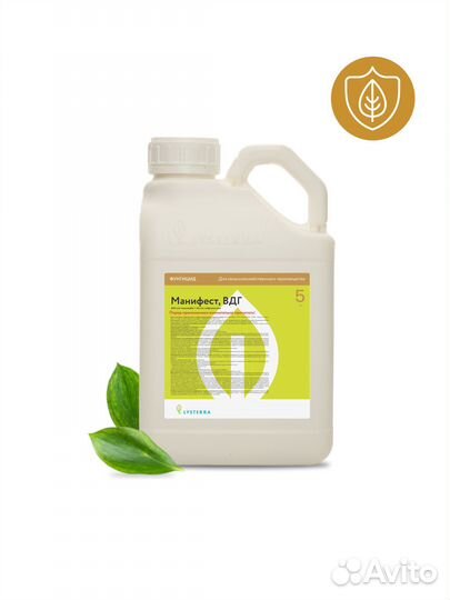 Манифест, вдг