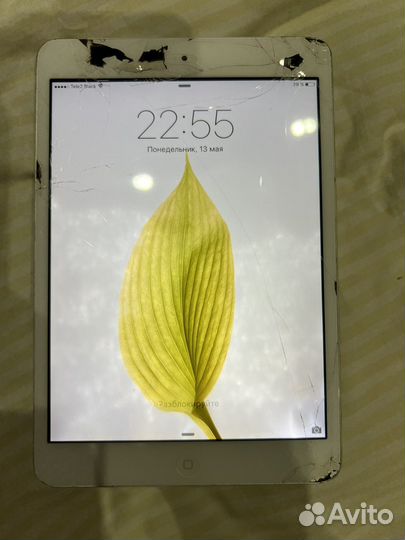 iPad mini 1