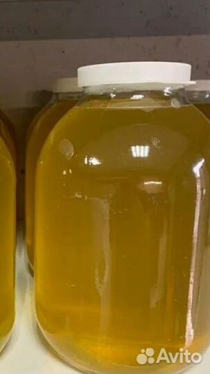 Липовый мёд 2023г отправка по россии ТК