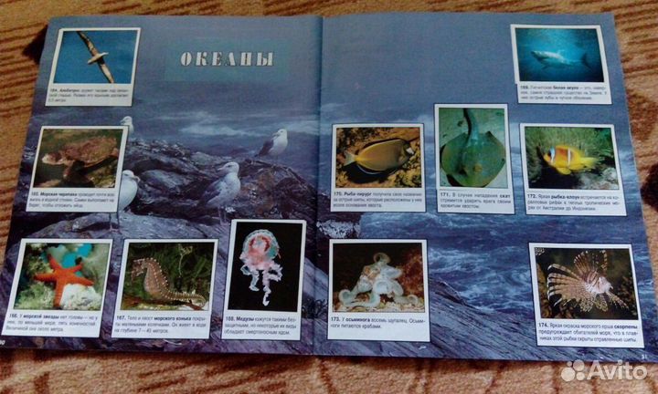 Альбомы с наклейками panini, 1995 г