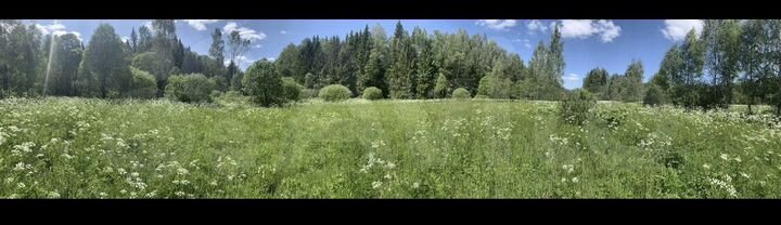 Участок 40 сот. (СНТ, ДНП)