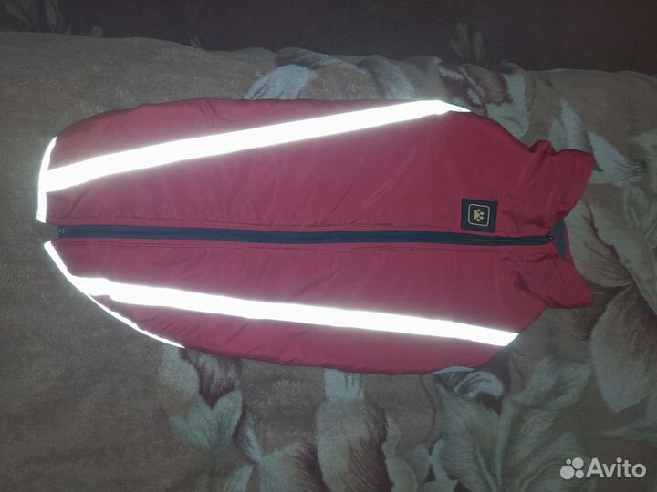 Одежда для собак